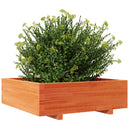 plantekasse 80x80x26,5 cm massivt fyrretræ gyldenbrun