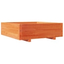 plantekasse 80x80x26,5 cm massivt fyrretræ gyldenbrun