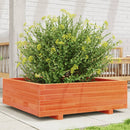 plantekasse 80x80x26,5 cm massivt fyrretræ gyldenbrun