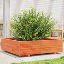 plantekasse 90x90x26,5 cm massivt fyrretræ gyldenbrun