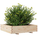 plantekasse 100x100x26,5 cm massivt fyrretræ