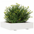 plantekasse 100x100x26,5 cm massivt fyrretræ hvid