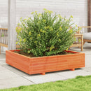 plantekasse 100x100x26,5 cm massivt fyrretræ gyldenbrun