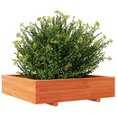 plantekasse 100x100x26,5 cm massivt fyrretræ gyldenbrun