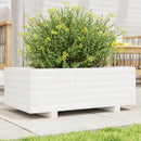 plantekasse 70x40x26,5 cm massivt fyrretræ hvid