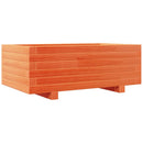 plantekasse 70x40x26,5 cm massivt fyrretræ gyldenbrun