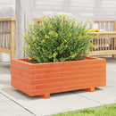 plantekasse 70x40x26,5 cm massivt fyrretræ gyldenbrun