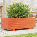 plantekasse 70x40x26,5 cm massivt fyrretræ gyldenbrun