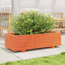 plantekasse 90x40x26,5 cm massivt fyrretræ gyldenbrun