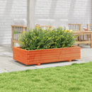 plantekasse 110x60x26,5 cm massivt fyrretræ gyldenbrun