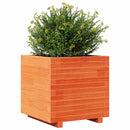 plantekasse 50x50x49,5 cm massivt fyrretræ gyldenbrun