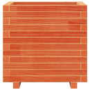 plantekasse 50x50x49,5 cm massivt fyrretræ gyldenbrun