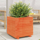 plantekasse 50x50x49,5 cm massivt fyrretræ gyldenbrun