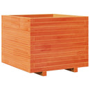 plantekasse 60x60x49,5 cm massivt fyrretræ gyldenbrun