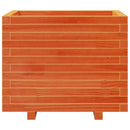 plantekasse 60x60x49,5 cm massivt fyrretræ gyldenbrun