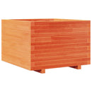 plantekasse 70x70x49,5 cm massivt fyrretræ gyldenbrun