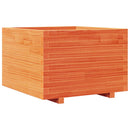 plantekasse 70x70x49,5 cm massivt fyrretræ gyldenbrun
