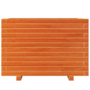 plantekasse 70x40x49,5 cm massivt fyrretræ gyldenbrun