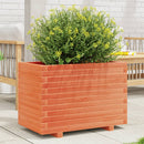 plantekasse 70x40x49,5 cm massivt fyrretræ gyldenbrun