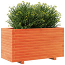 plantekasse 90x40x49,5 cm massivt fyrretræ gyldenbrun