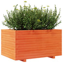 plantekasse 90x60x49,5 cm massivt fyrretræ gyldenbrun