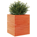 plantekasse 40x40x46 cm massivt fyrretræ gyldenbrun