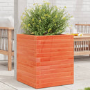 plantekasse 40x40x46 cm massivt fyrretræ gyldenbrun