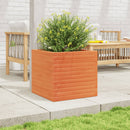 plantekasse 50x50x46 cm massivt fyrretræ gyldenbrun