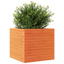 plantekasse 50x50x46 cm massivt fyrretræ gyldenbrun