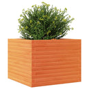 plantekasse 60x60x46 cm massivt fyrretræ gyldenbrun