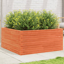 plantekasse 100x100x46 cm massivt fyrretræ gyldenbrun