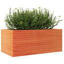 plantekasse 110x60x46 cm massivt fyrretræ gyldenbrun