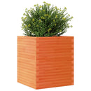 plantekasse 60x60x68,5 cm massivt fyrretræ gyldenbrun