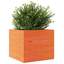 plantekasse 80x80x68,5 cm massivt fyrretræ gyldenbrun
