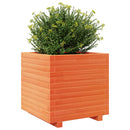 plantekasse 50x50x49,5 cm massivt fyrretræ gyldenbrun