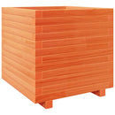 plantekasse 50x50x49,5 cm massivt fyrretræ gyldenbrun