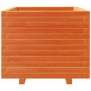plantekasse 60x60x49,5 cm massivt fyrretræ gyldenbrun