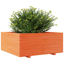 plantekasse 110x110x49,5 cm massivt fyrretræ gyldenbrun