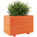 plantekasse 70x40x49,5 cm massivt fyrretræ gyldenbrun