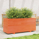 plantekasse 110x40x49,5 cm massivt fyrretræ gyldenbrun