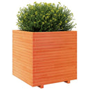 plantekasse 70x70x72,5 cm massivt fyrretræ gyldenbrun