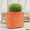 plantekasse 70x40x72,5 cm massivt fyrretræ gyldenbrun