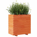 plantekasse 70x40x72 cm massivt fyrretræ gyldenbrun