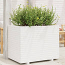 plantekasse 90x60x72 cm massivt fyrretræ hvid