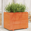 plantekasse 90x60x72 cm massivt fyrretræ gyldenbrun