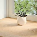 vindueskarme 2 stk ubehandlet 90x15x2 cm massivt egetræ
