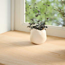vindueskarme 2 stk ubehandlet 110x20x2 cm massivt egetræ