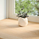 vindueskarme 2 stk ubehandlet 110x30x2 cm massivt egetræ