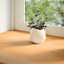 vindueskarme 2 stk lysebrun 70x15x2 cm massivt egetræ