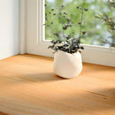 vindueskarme 2 stk lysebrun 100x15x2 cm massivt egetræ
